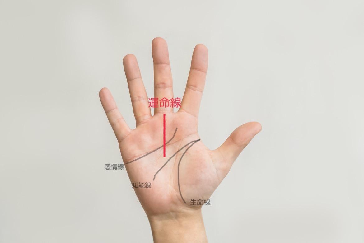 頭脳線 知能線 の意味とは？二本に枝分かれしていたり切れてたり長い まっすぐや下向き ・短い時の意味を画像で詳しく紹介！無料占いfushimi