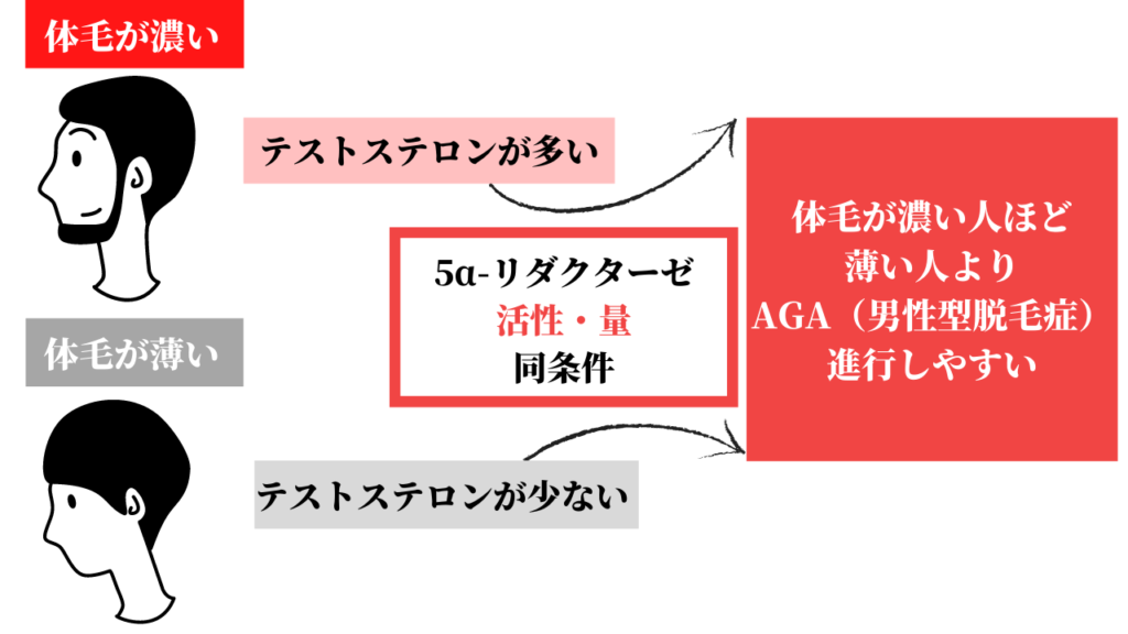 毛深い悩みは医療脱毛で解決できる？メリットや施術部位、費用の目安を解説 - メディカルエピレーションクリニック MEDICAL EPILATIONCLINIC大阪心斎橋