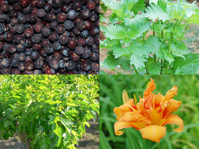 精油モイストリップスティック