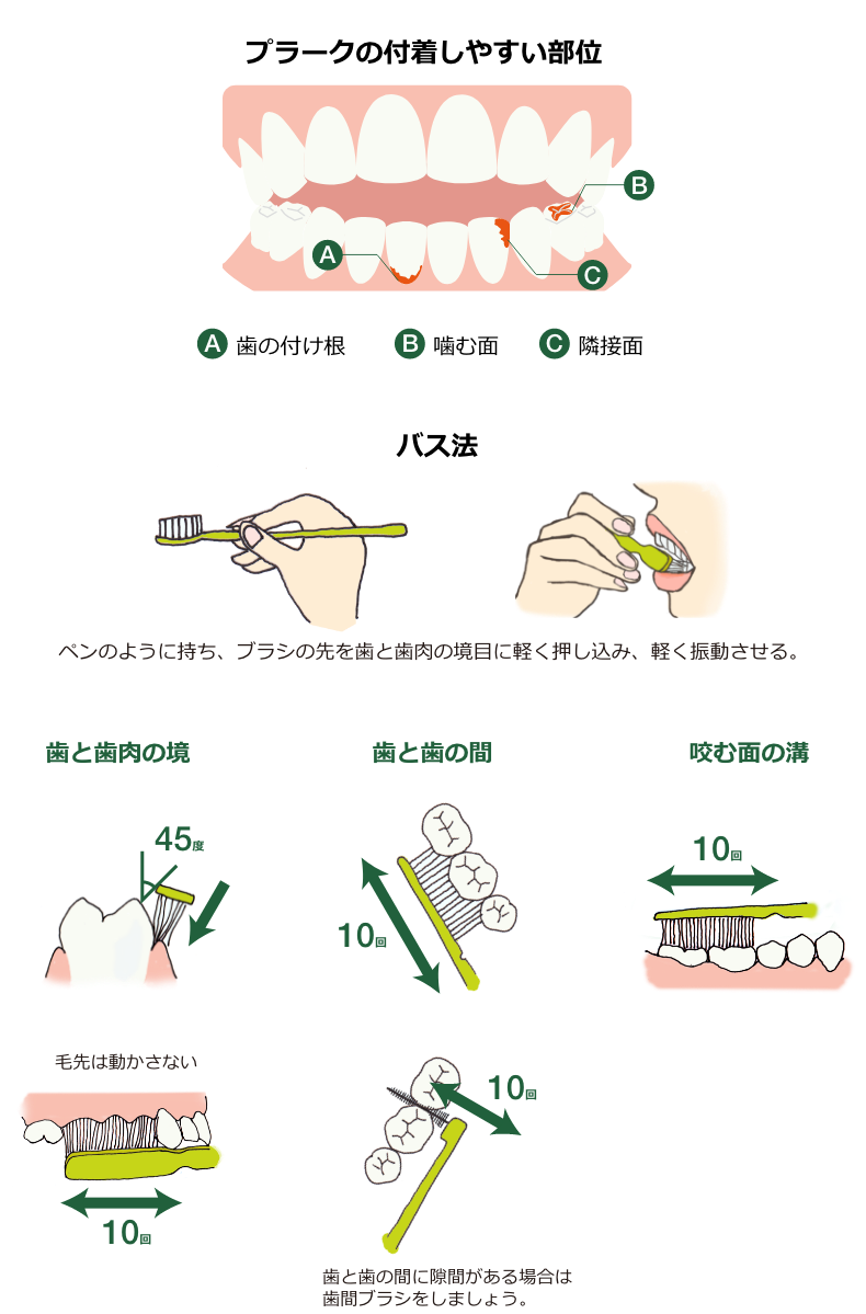 はみがきチャレンジ 令和7年度取り組み - 山口県周南市