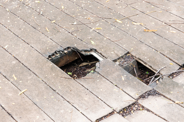 木材腐朽シロアリよりも怖い木材の腐れとは？シロアリ1番