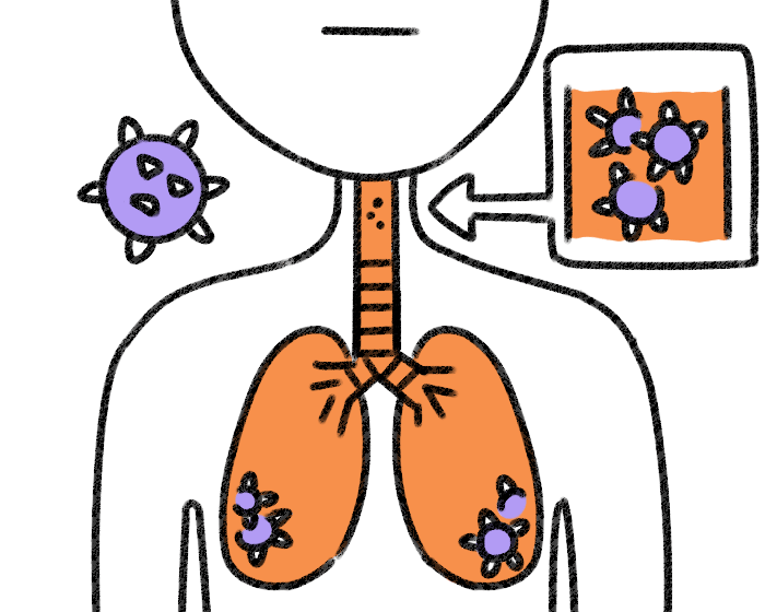 のど・はなの基礎知識のど・はなのお悩み解決サイト のど＊はな