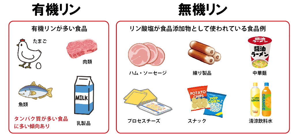 リン酸塩 Ｎａ とは？ 「」の意味食の衛生ナビ