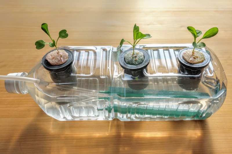 ベランダでもできる！ペットボトル菜園のつくり方