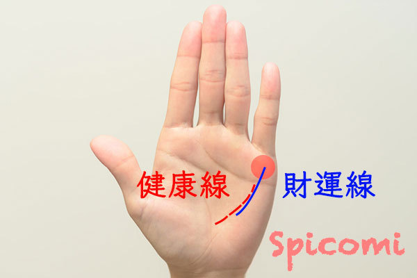 手相『健康線』を学ぼう！切れ切れに？財運線との関係は？ パターン別図解- zired