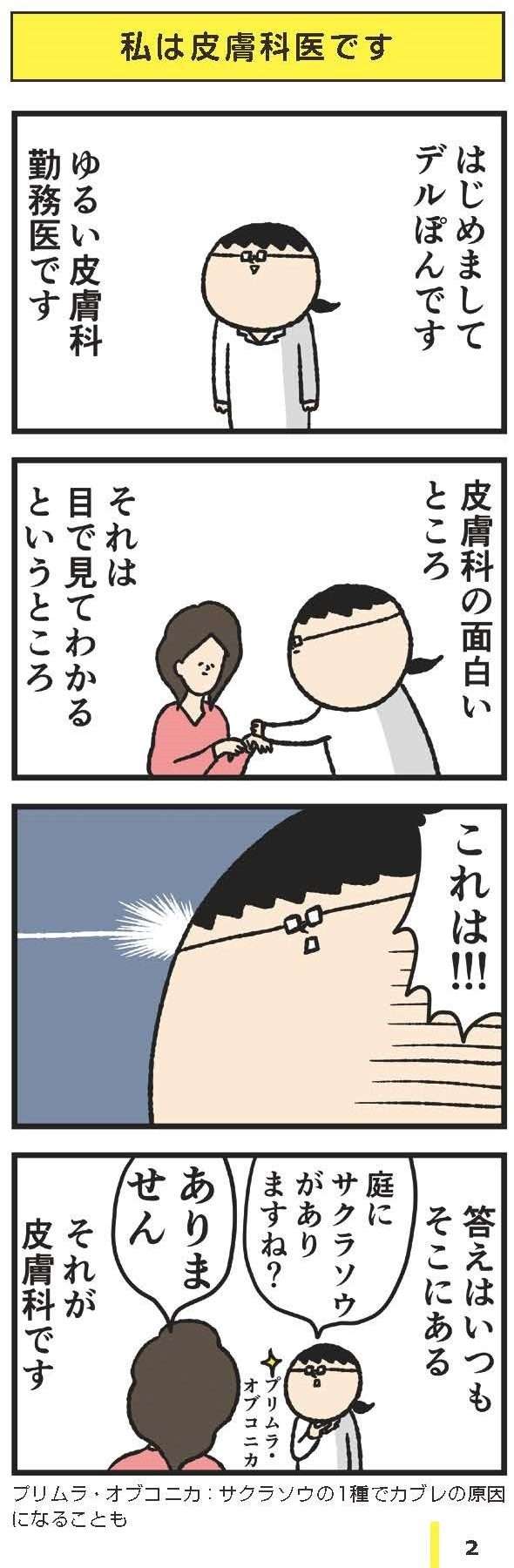 美人すぎる歯科医が語る「コンビニより多い歯医者」問題 - ライブドアニュース