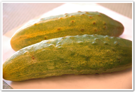 黄色に熟したキュウリの美味しい食べ方５児ママあこさん