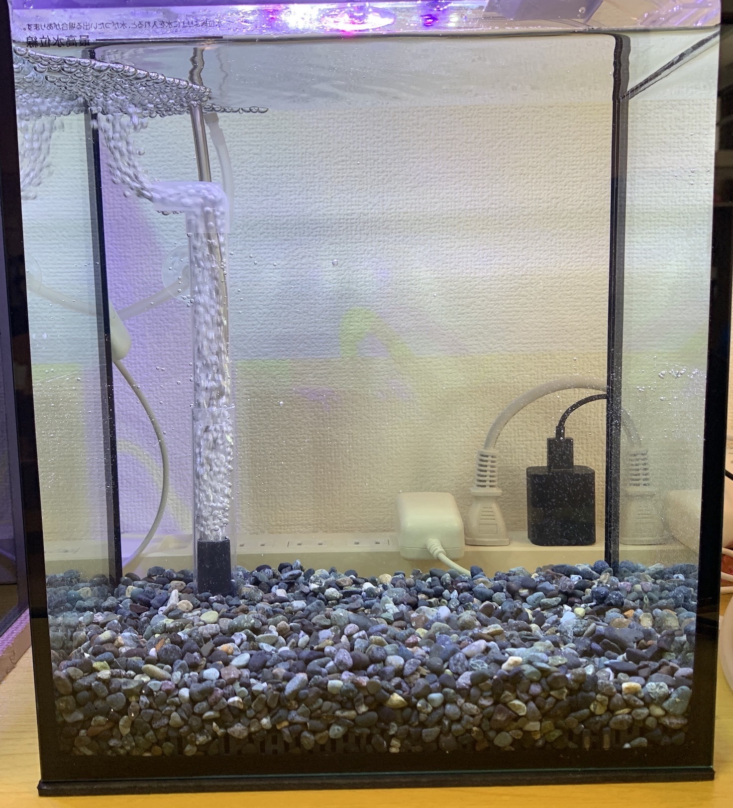 プロおすすめ・ベタの飼育専用水槽5選フィルター・ヒーターなども解説東京アクアガーデン