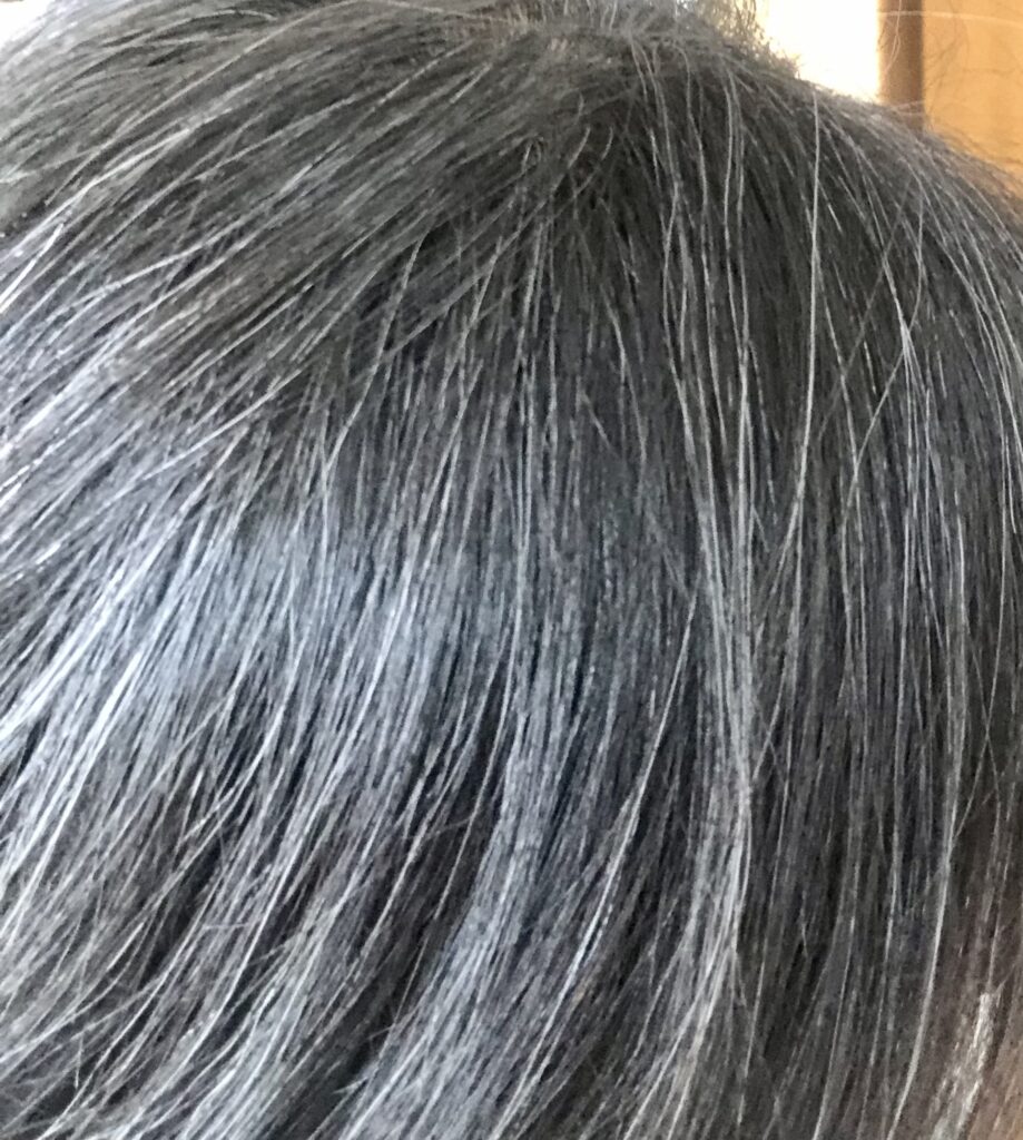 ⋆⸜グレーカラー⸝‍⋆ ⁡ ⁡ 最近は白髪を活かしたカラーが流行りです🙌 ⁡ ⁡グレーカラー グレー 白髪染めおしゃれ染め ショート ショートヘア アッシュ 脱白髪染め 白髪活かし シルバー 大人髪 大人ショート トレンド 千葉美容室千葉美容室求人千葉美容院美容