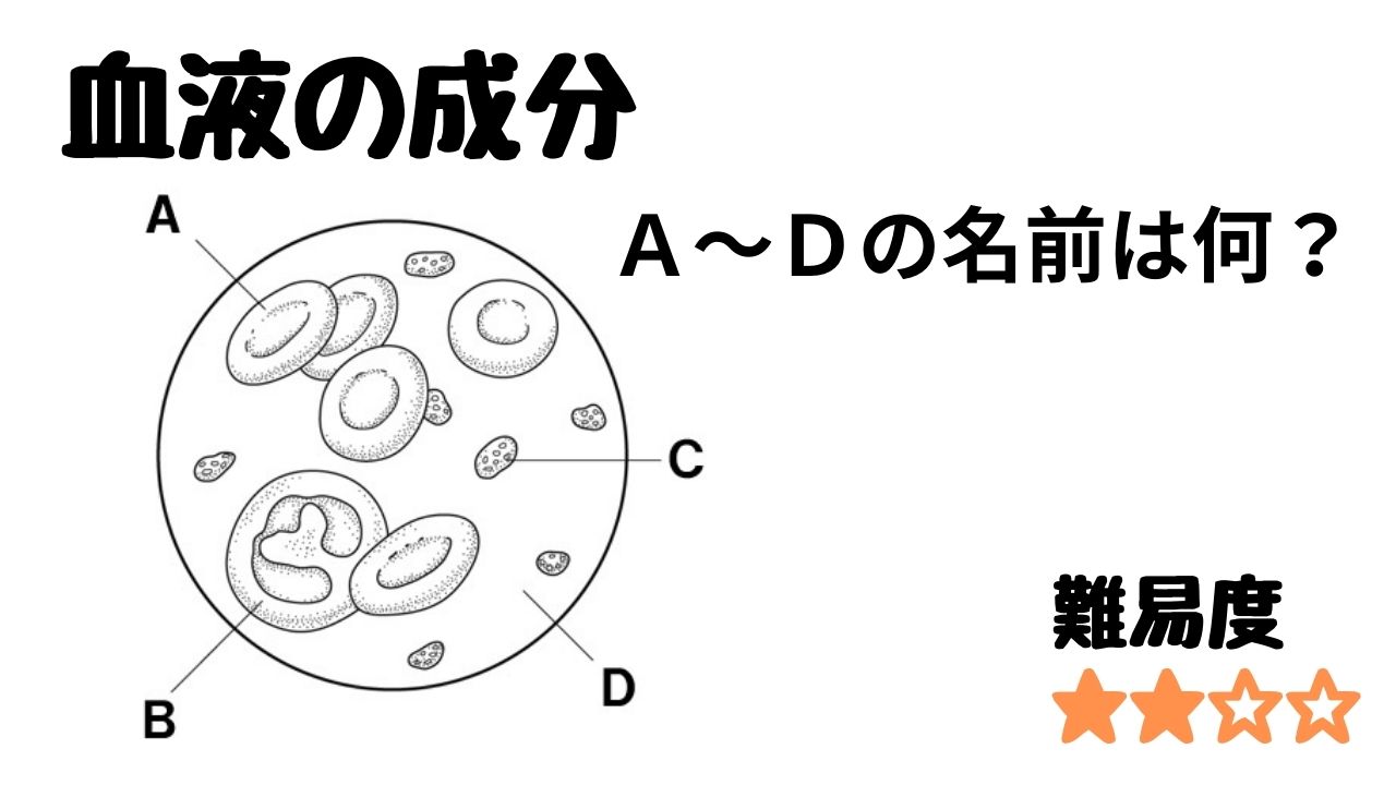 人体 血液 – SGSブログ