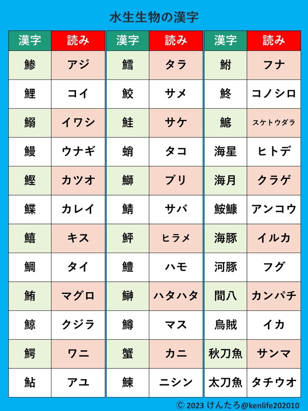 風信子 ひやしんす写真・俳句ブログ：犬の散歩道