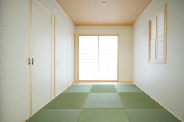 日々業務に忙殺される『&GP』編集長が体験！より深い眠りを貪りたいから最新モデルの「コアラマットレスプラスPLUS」を試してみました！＆GP