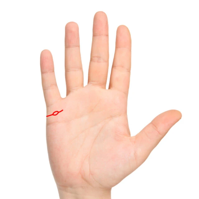 感情線に二股・三又・支線・枝分かれ・分岐のある手相一覧