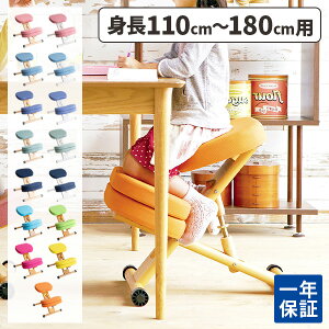 骨盤矯正 椅子 姿勢矯正 座椅子 猫背 矯正 骨盤 ストレッチ 骨盤座椅子 椅子 リクライニング 子供用 背筋がグーン 東海テレビ 姿勢が良くなる美姿勢 在宅 テレワーク イス チェア ゲーム