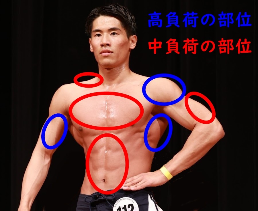 男性キャラクターの人体・筋肉の描き方講座イラスト・マンガ描き方ナビ