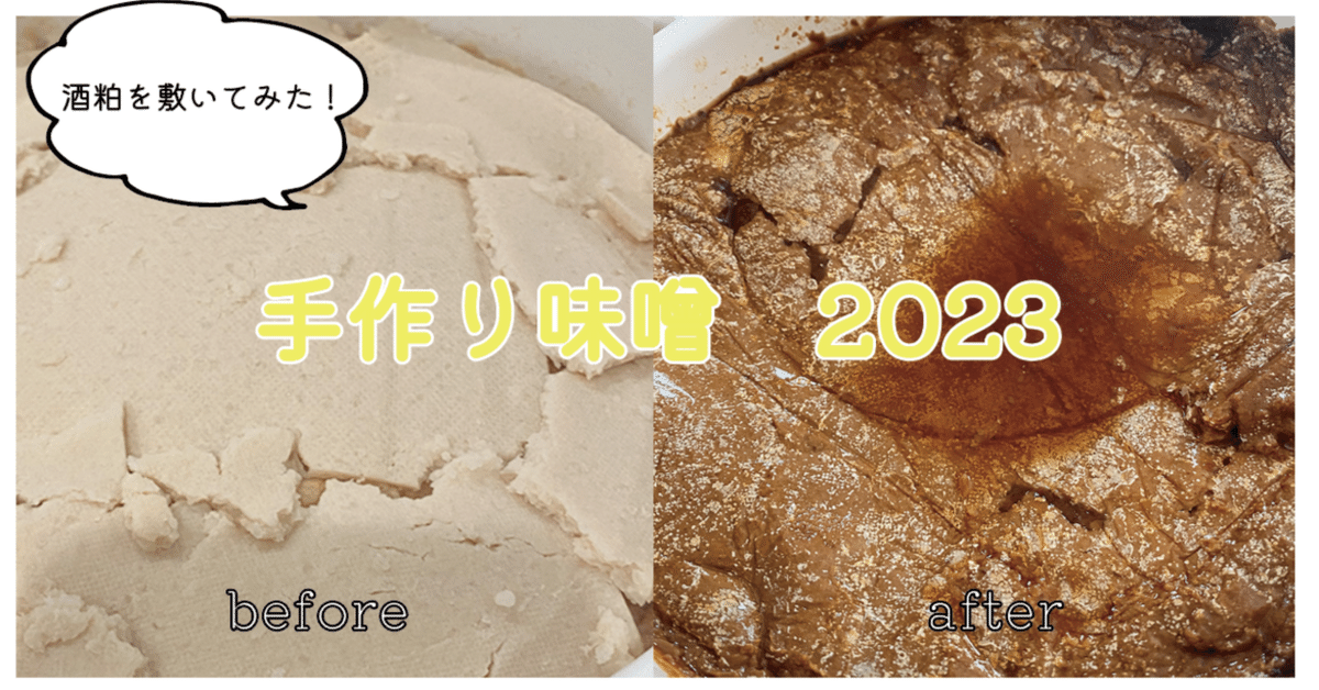 手作り味噌のカビ対策をしたら、カビが激減！カビ防止の最大ポイントはコレ田舎でゆったり暮らしたい