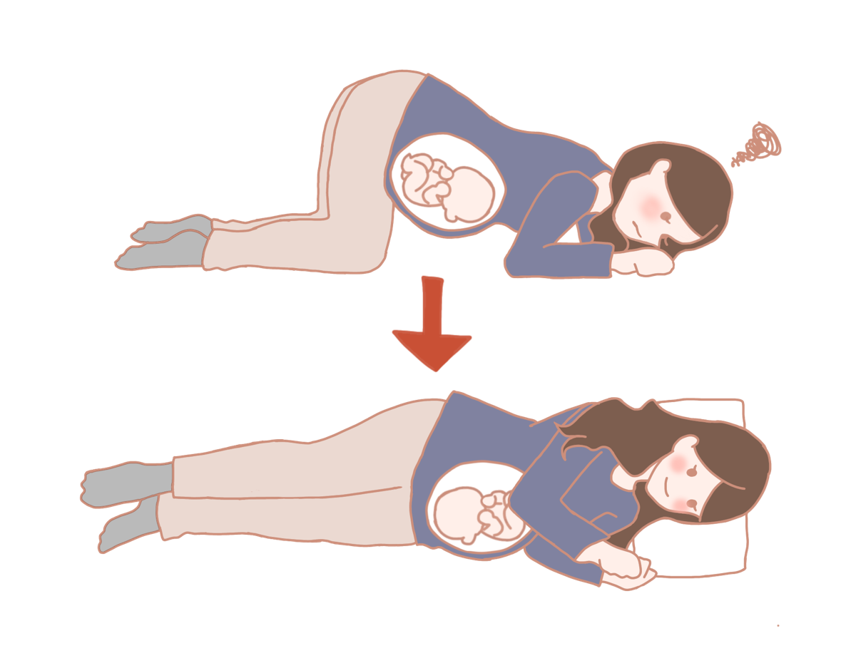 胎児の成長過程