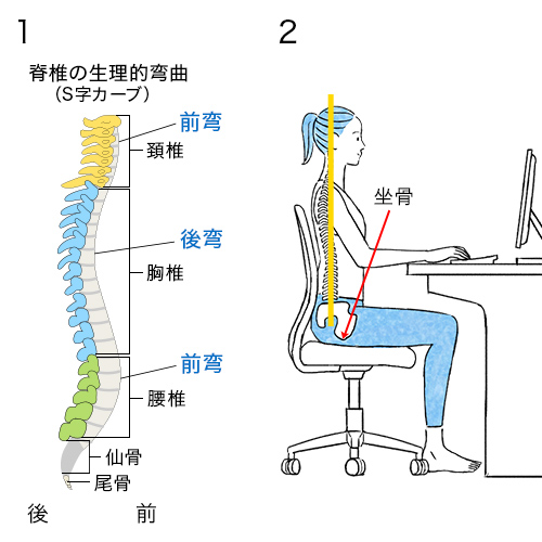 まるで別人じゃない？？ 腰位置が高くなってる！！！ しかも360度気を抜いていられるお腹なのです。脱力系で生きて綺麗になれる骨格物理 綺麗になるのは副産物 運動0でカラダは変わる骨格診断骨格ウェーブ骨格ストレート骨格ナチュラル モーション美ボディ