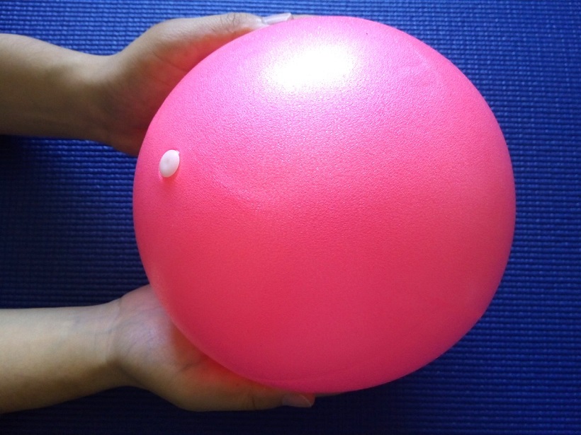 ダイソーのバランスボードで体を引き締める。ヨガ講師がやり方を伝授 « 女子SPA