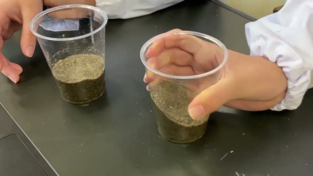 自由研究 地盤の「液状化」井村先生のぼうさいの時間ＫＴＳ鹿児島テレビ