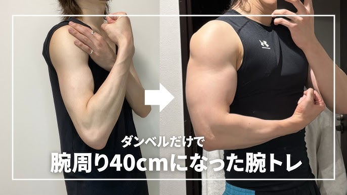 腕の筋肉の写真素材69321879- PIXTA