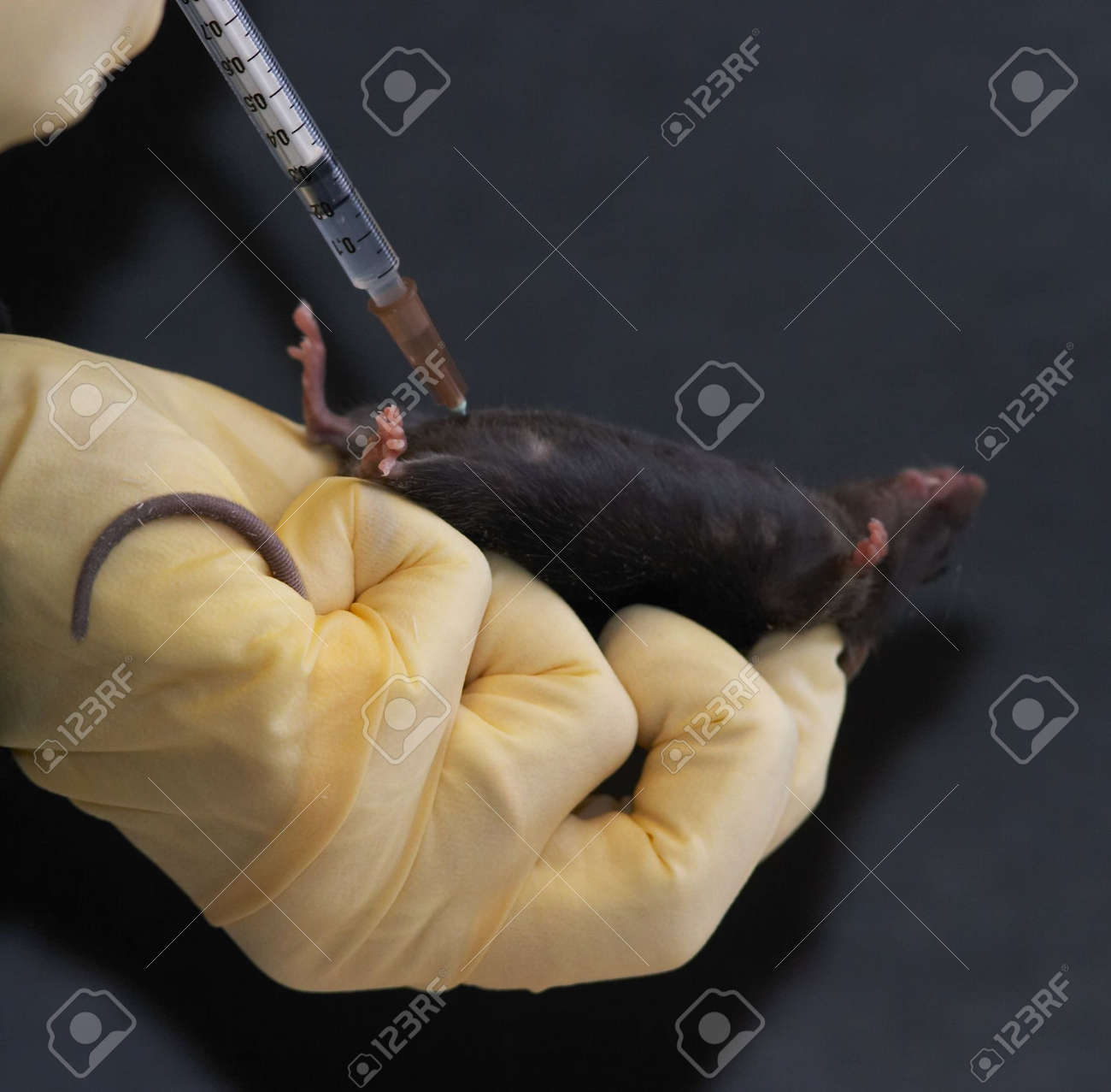 008-がん性腹膜炎・腹水の治療一般社団法人日本先制臨床医学会