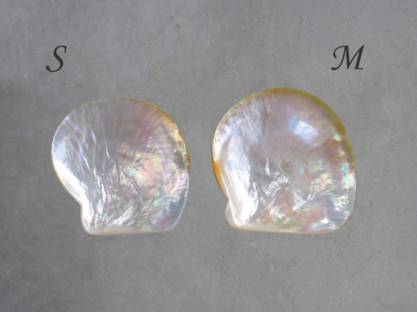 好き』 ・ ・ マザーオブパールが好き❤︎ ・ ・ ・ 初めてのREPOSSI レポシ のスタッドピアス @repossi ・ ・ ・大切にします🫶 ・ ・ ・駒田奈美 モデル 美魔女美魔女®️ bimajo bimajostylerepossiレポシマザーオブパール スタッドピアス ピアス 白蝶貝