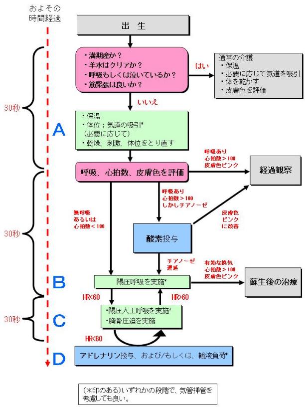 第2回 小児のバイタルサイン測定意義・目的、測定方法、注意点ナース専科