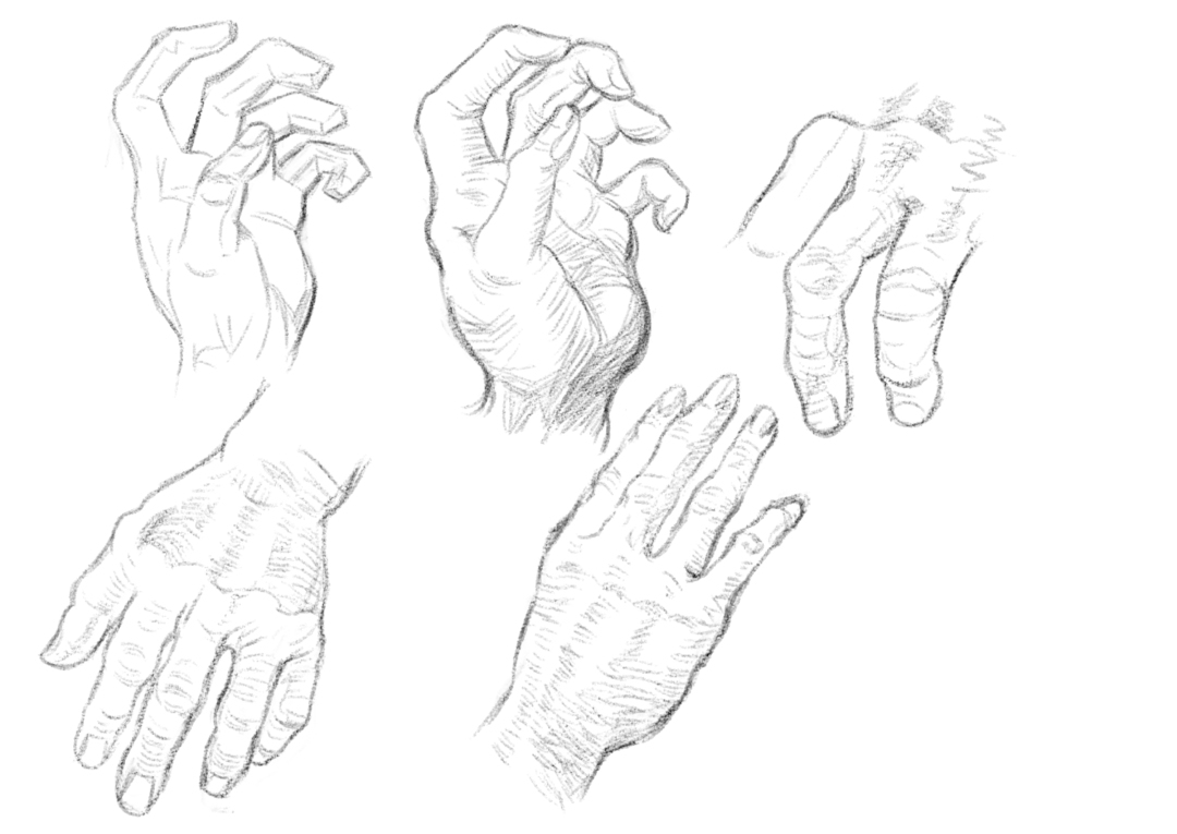 アキノキリンソウの花言葉花の特徴、名前や花言葉の由来LOVEGREEN ラブグリーン