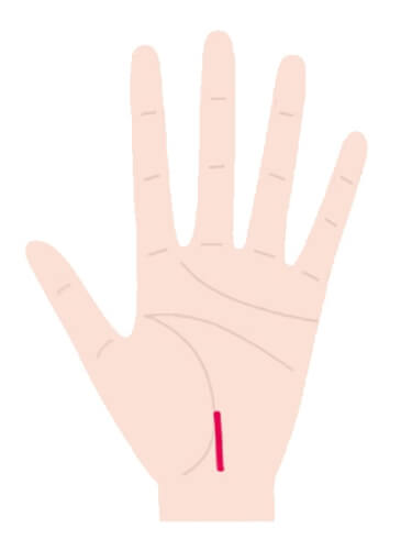 はじめての手相占い８パターンで基本4線を解説！あなたの才能と恋愛運は？ - cocoloni占い館 Sun