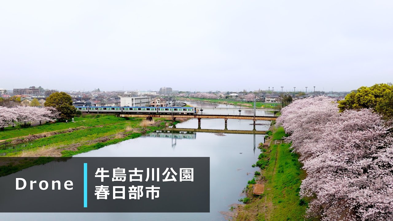 牛島古川公園（第2期）