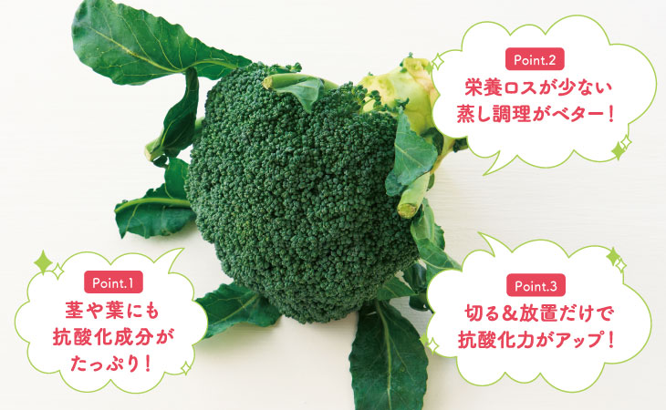 ブロッコリー蒸し ホットクックで栄養の損失も少ない