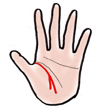 手相占い第2回「生命線が長いと長生きするの？」Cafe Emerald