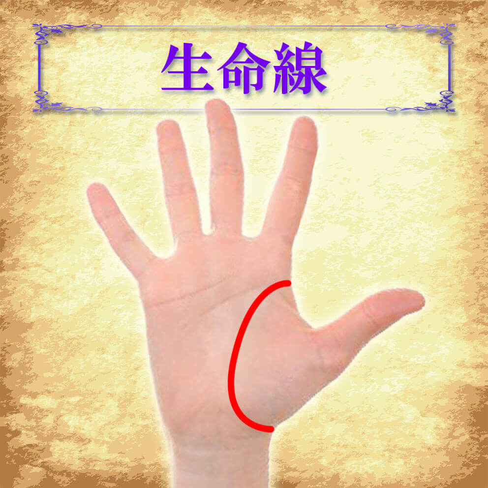 手相占い 生命線の見方と意味を解説！二重・二股・二本・長い・短いページ 3Fortune Media