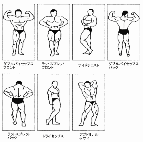 ボディビルダー女性が正面ポーズを決め筋肉がキレてるの無料イラスト 運動50022素材Good