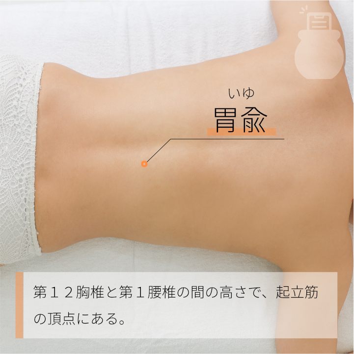 胃兪 いゆツボの場所と効果ツボネット 鍼灸の症例が検索できるツボ辞典