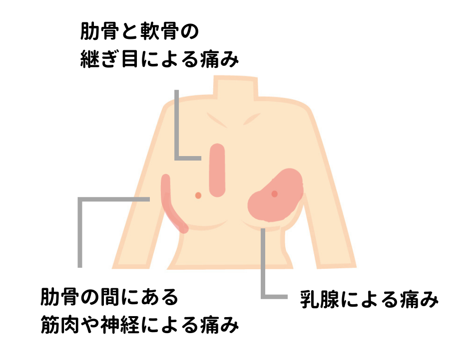10 15はエントリー！抽選でPバック ブラジャー 中学生 ブラ キッズ ジュニア インナー 140cm〜165cm小学生 女の子 胸 二重インナー キッズ 女児 ソフトカップ 綿100％ シャツ カップ付きインナー 白 ブラトップ 肌着 140 150 160 165