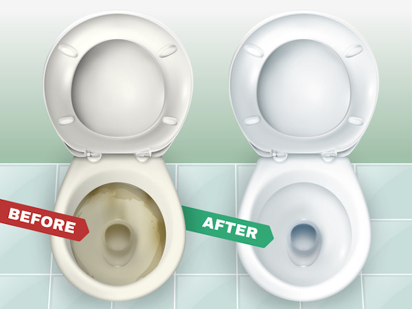 トイレ掃除の基本と極意 いつもきれいなトイレのための、持続可能な10のコトLEE