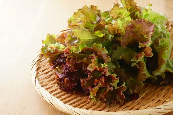 サニーレタス – 四群点数法で簡単カロリー計算