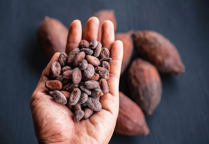 ココアに7つの健康効果 冷え解消や筋力アップにも - 日本経済新聞