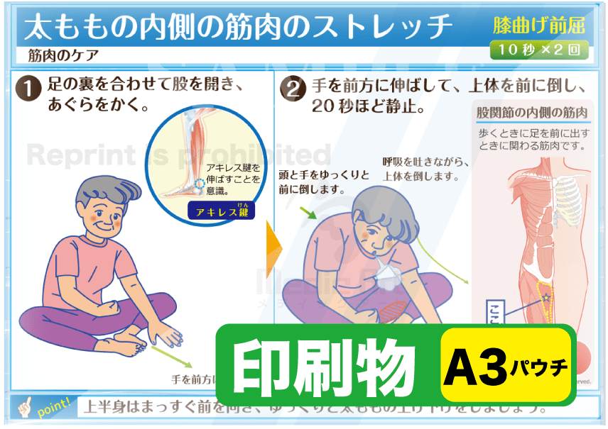 全身の筋肉 － 大腿部 - 名古屋市西区の椎間板ヘルニア・腰痛整体 AandK Therapy Studio