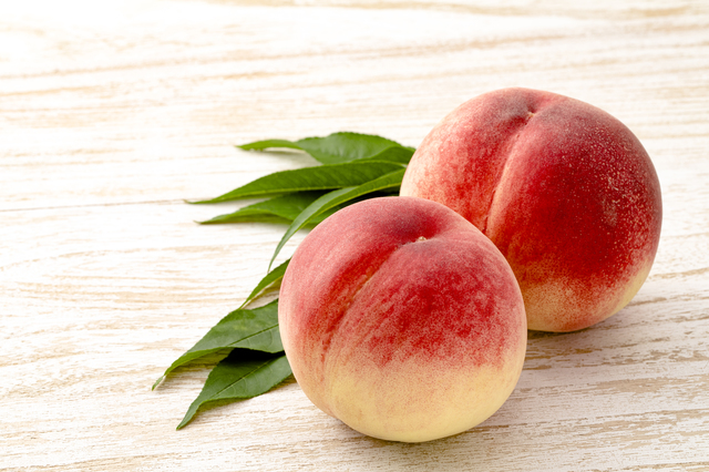 待ち受け画像ヒロヒロの息子の成長＆お出かけブログ☆