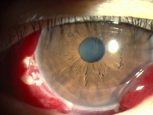 Amazon.co.jp: 血眼回収紀行ファンタジア文庫: かれい, 可笑林: 本