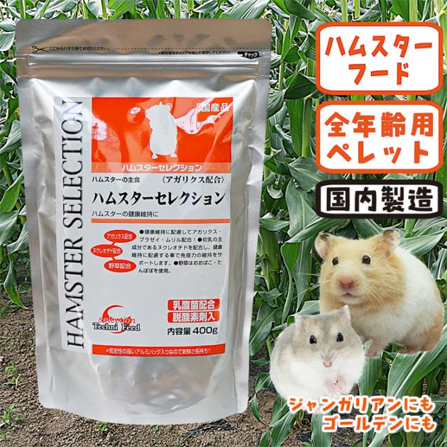 ハムスターの餌のあげ方は？餌の種類と与えてはダメな餌、選び方も解説コーナンTips