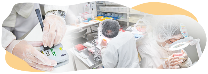 小さくなった石けんの活用法おばあちゃんの知恵袋エコニュース EcoNews - 環境・省エネ・電気に関するWebメディア-日本テクノ