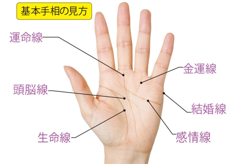 線の状態 手相線が薄い人と濃い人に意味はある？ - zired