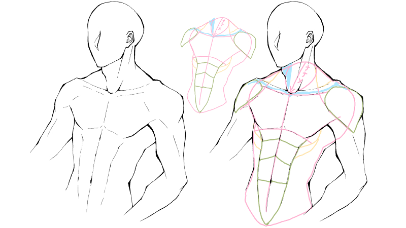 初心者も簡単！身体のイラストの描き方 - オンラインイラスト教室アタムアカデミ