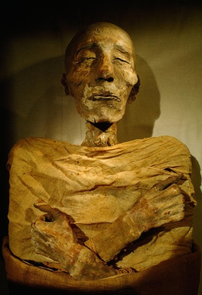 ミイラの本当の作り方 脳を鼻からかき出してはいなかった可能性が高いBusiness Insider Japan