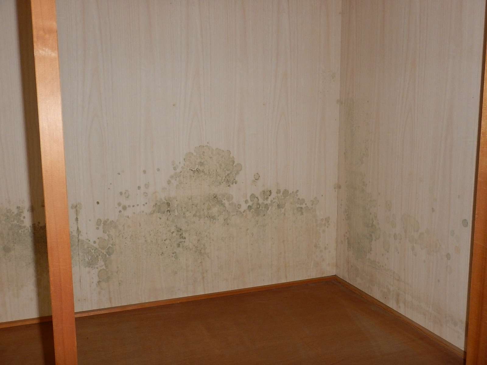 カビによる健康リスクから自宅を守る ベニヤ張り替えによる押入れ改革 : こちら盛岡の前田畳店。畳、襖、障子、壁紙 クロス 、網戸の張り替えも承ります