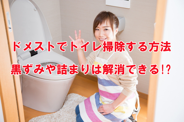 Amazon.co.jp:まとめ買いドメスト 除菌クリーナー 次亜塩素酸配合 500ml×5個 リーフレット付き : ドラッグストア